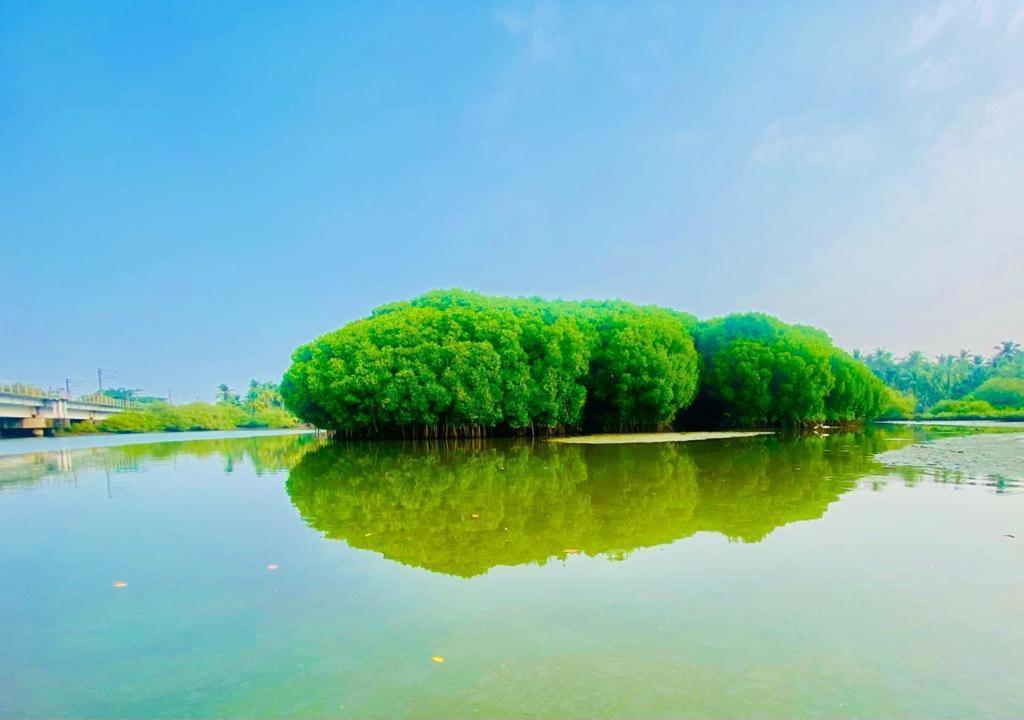 Green Island Homestay Riverside Kozhikode Extérieur photo