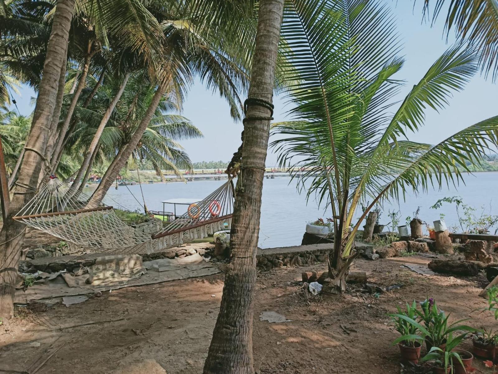 Green Island Homestay Riverside Kozhikode Extérieur photo